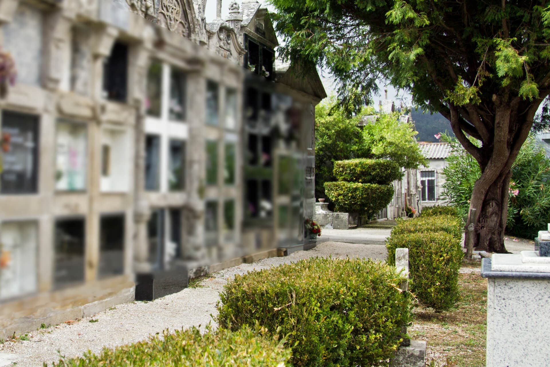 Mantenimiento integral de cementerios en Vigo y alrededores